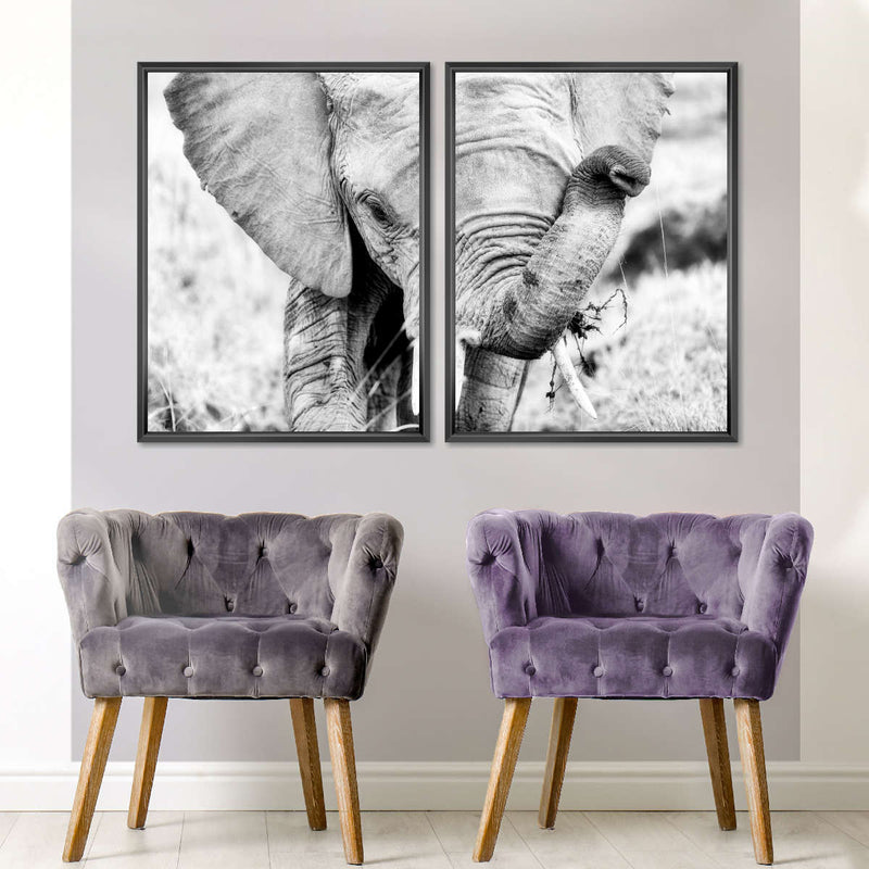 Kenyan Baby Elephant Wall Art