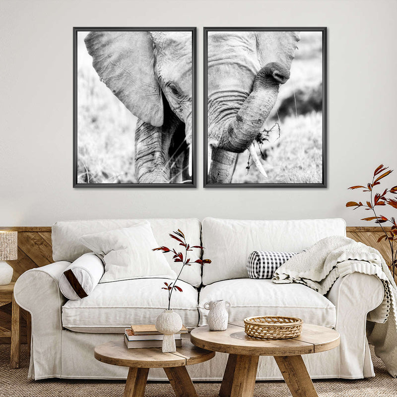 Kenyan Baby Elephant Wall Art
