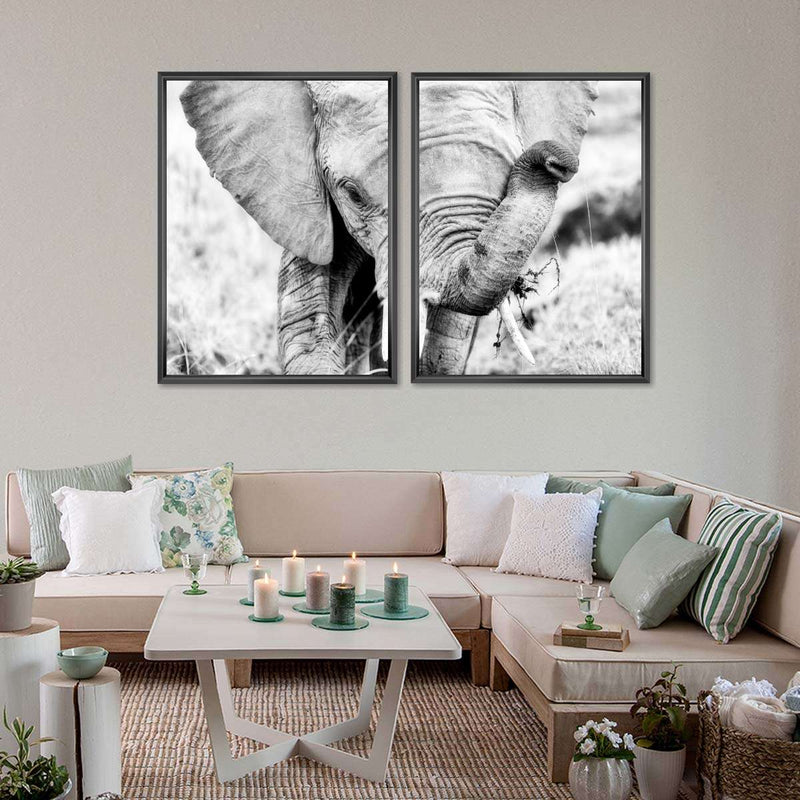 Kenyan Baby Elephant Wall Art