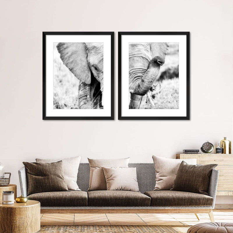 Kenyan Baby Elephant Wall Art