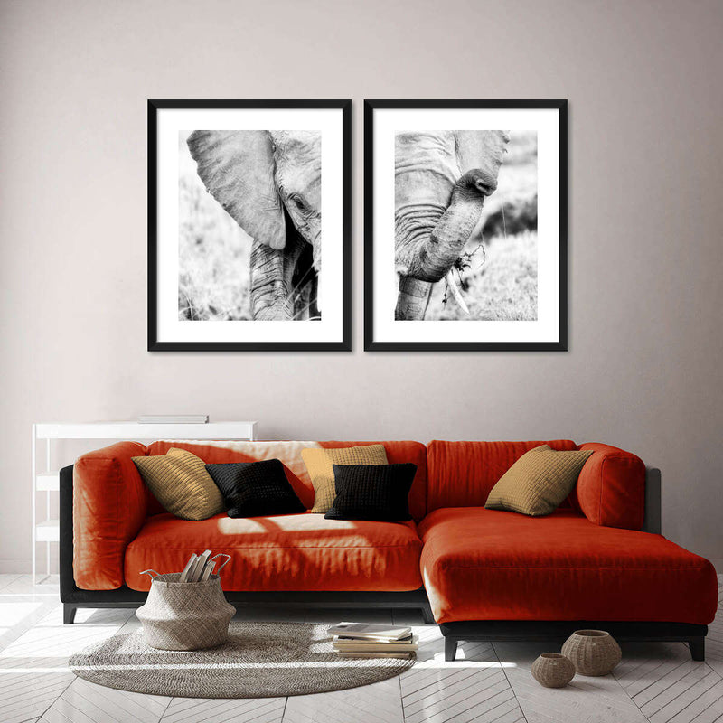 Kenyan Baby Elephant Wall Art