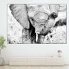 Kenyan Baby Elephant Wall Art