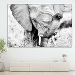 Kenyan Baby Elephant Wall Art