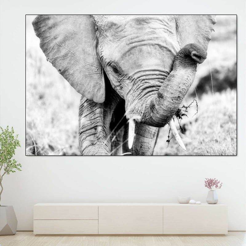 Kenyan Baby Elephant Wall Art