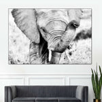 Kenyan Baby Elephant Wall Art