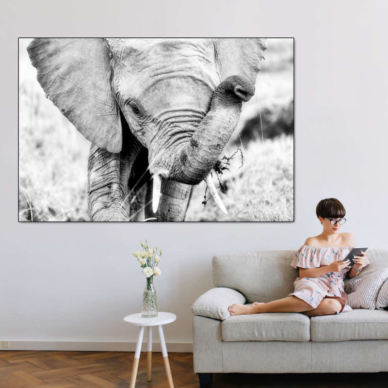 Kenyan Baby Elephant Wall Art