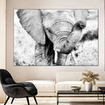 Kenyan Baby Elephant Wall Art
