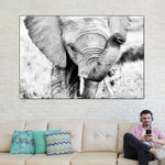 Kenyan Baby Elephant Wall Art