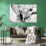 Kenyan Baby Elephant Wall Art