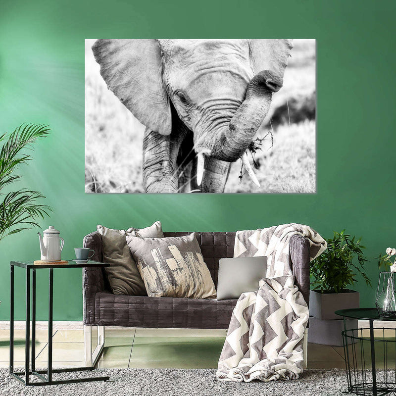 Kenyan Baby Elephant Wall Art