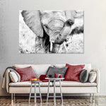 Kenyan Baby Elephant Wall Art