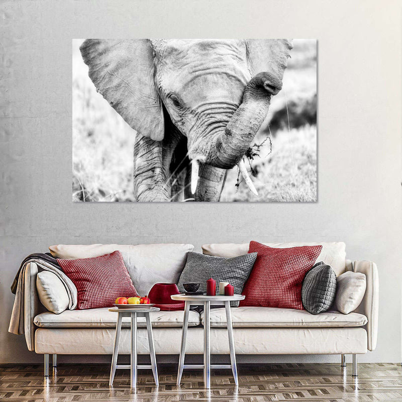Kenyan Baby Elephant Wall Art