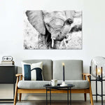Kenyan Baby Elephant Wall Art