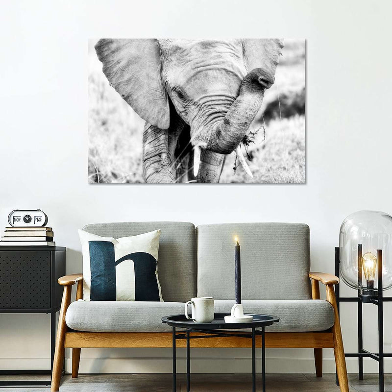 Kenyan Baby Elephant Wall Art