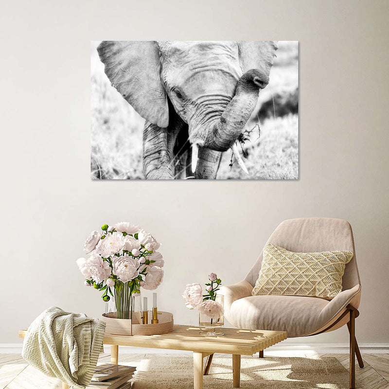 Kenyan Baby Elephant Wall Art