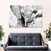 Kenyan Baby Elephant Wall Art
