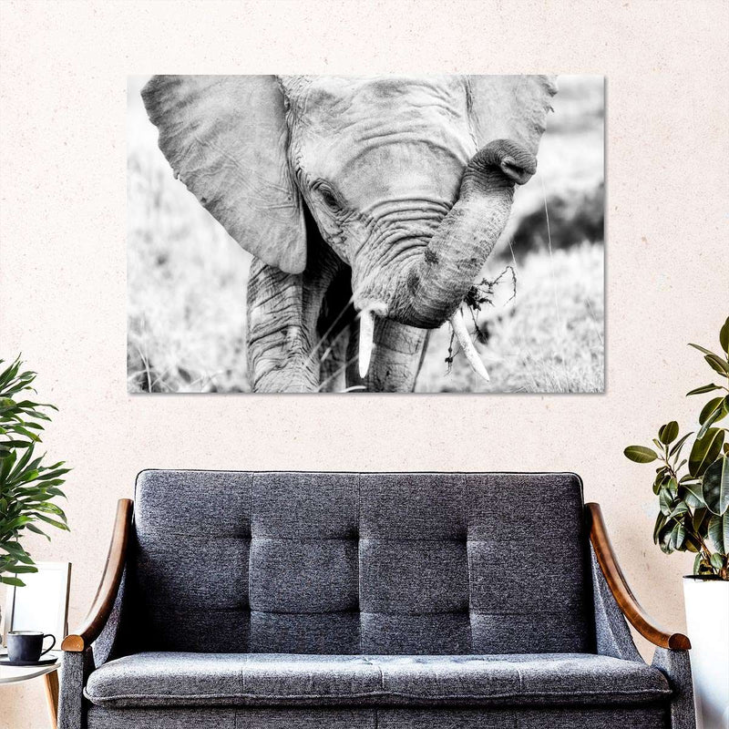 Kenyan Baby Elephant Wall Art