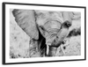 Kenyan Baby Elephant Wall Art