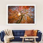 Japanese Maple Tree Wall Art