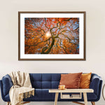 Japanese Maple Tree Wall Art