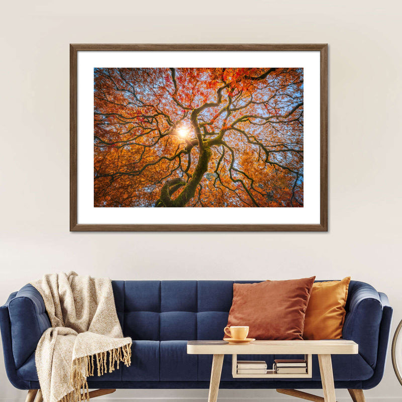 Japanese Maple Tree Wall Art