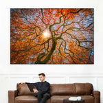 Japanese Maple Tree Wall Art