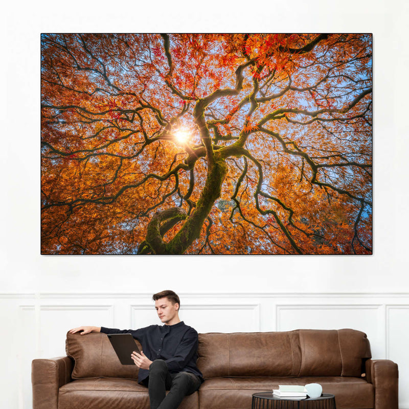 Japanese Maple Tree Wall Art