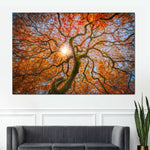 Japanese Maple Tree Wall Art