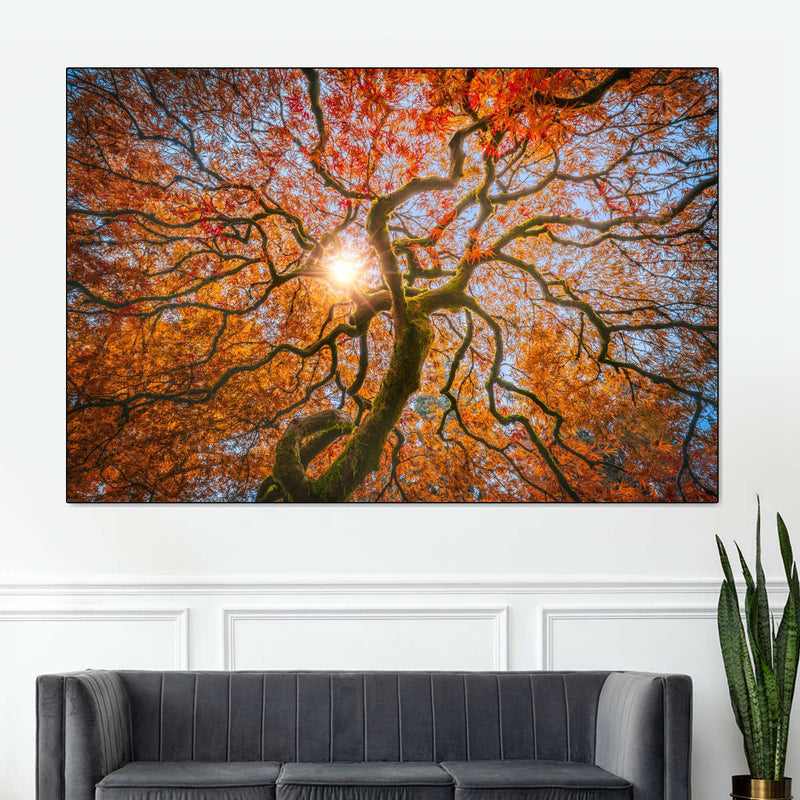 Japanese Maple Tree Wall Art