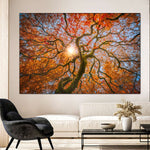Japanese Maple Tree Wall Art