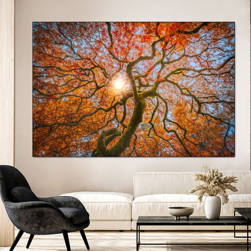 Japanese Maple Tree Wall Art