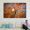 Japanese Maple Tree Wall Art
