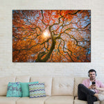 Japanese Maple Tree Wall Art