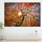 Japanese Maple Tree Wall Art