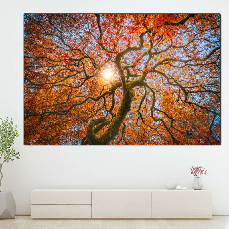 Japanese Maple Tree Wall Art
