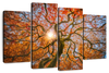 Japanese Maple Tree Wall Art