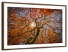 Japanese Maple Tree Wall Art
