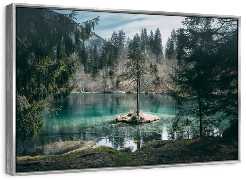 Pine Trees Wall Art