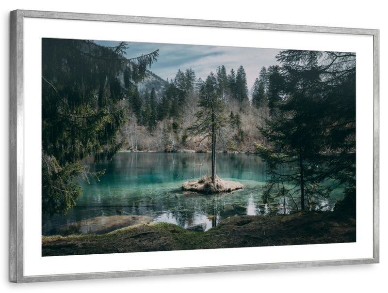 Pine Trees Wall Art
