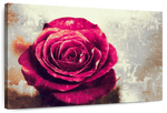 Textured Grunge Rose Wall Art