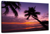 Palm Koh Samui Sunset Wall Art