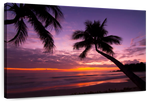 Palm Koh Samui Sunset Wall Art