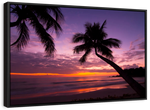 Palm Koh Samui Sunset Wall Art