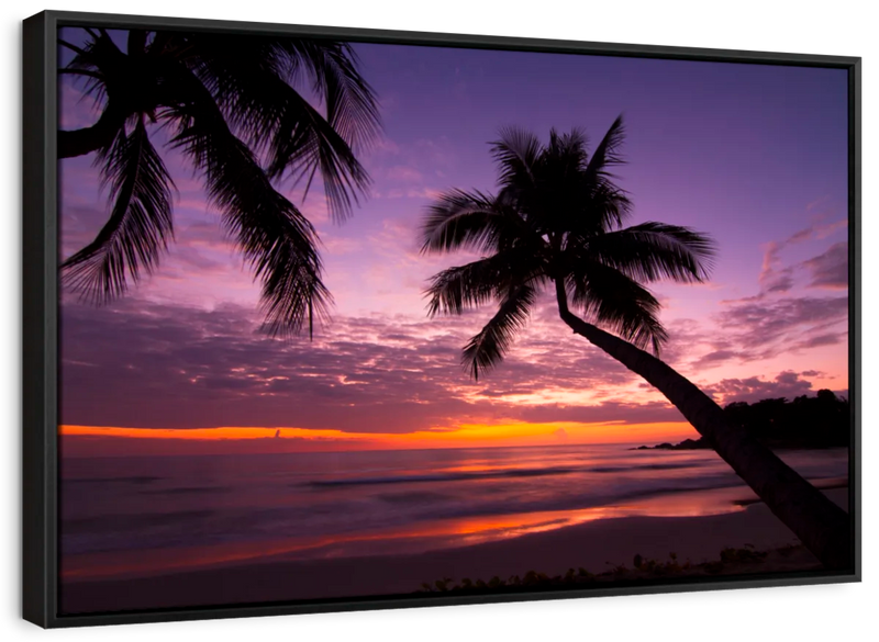Palm Koh Samui Sunset Wall Art