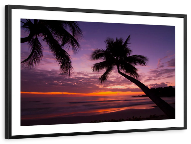 Palm Koh Samui Sunset Wall Art