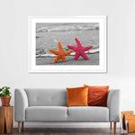 Nautical Starfish Duo Wall Art