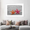 Nautical Starfish Duo Wall Art