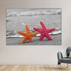 Nautical Starfish Duo Wall Art
