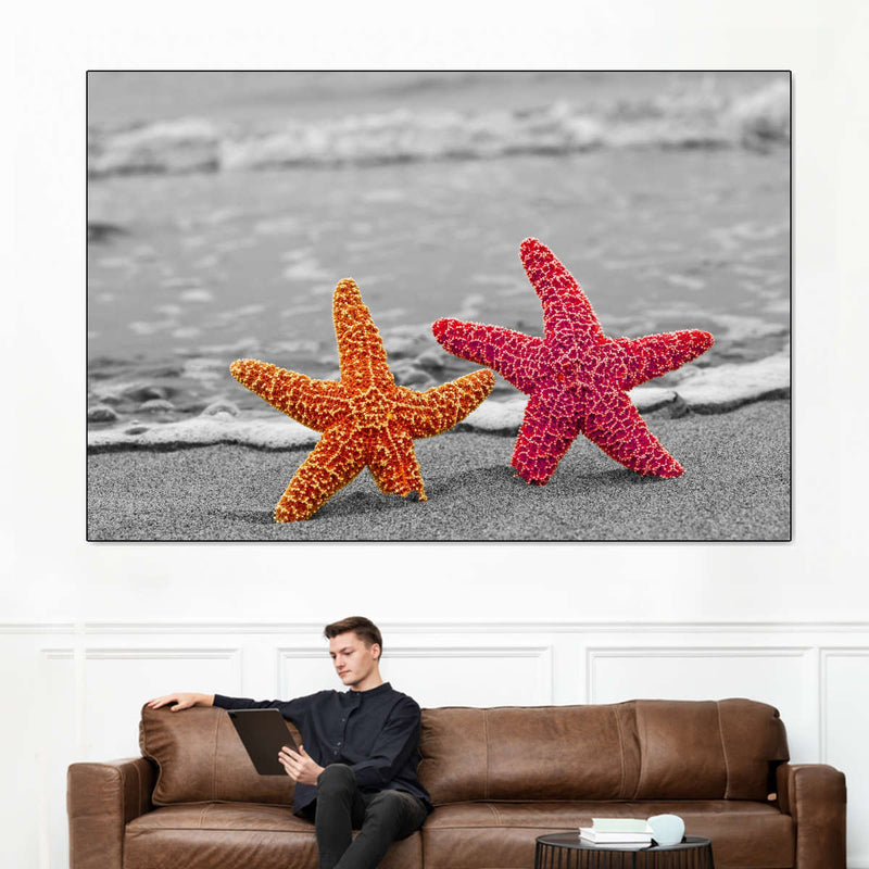 Nautical Starfish Duo Wall Art