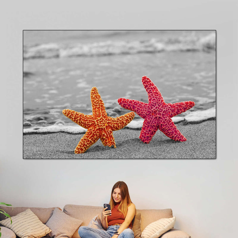 Nautical Starfish Duo Wall Art